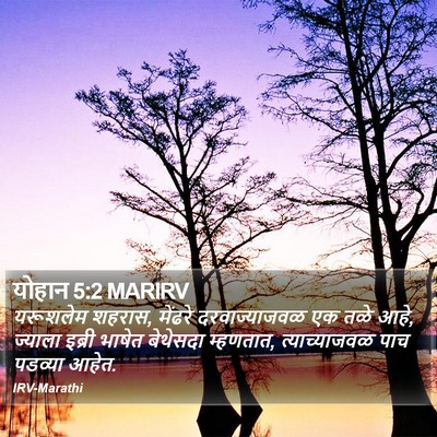 योहान 5:2 MARIRV Bible Verse Image