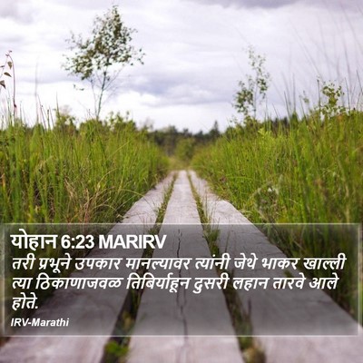 योहान 6:23 MARIRV Bible Verse Image