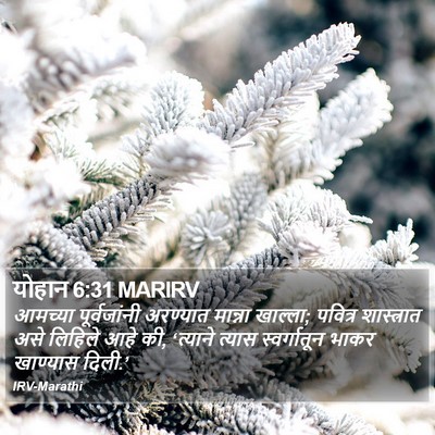 योहान 6:31 MARIRV Bible Verse Image