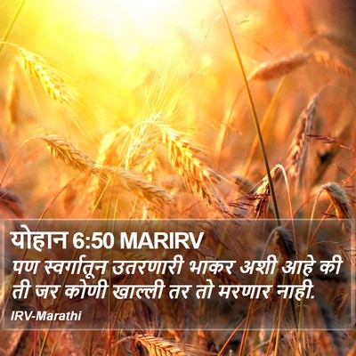 योहान 6:50 MARIRV Bible Verse Image