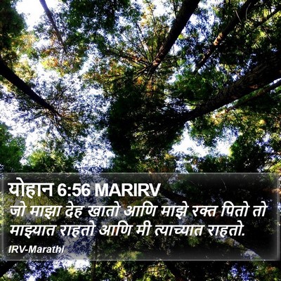 योहान 6:56 MARIRV Bible Verse Image