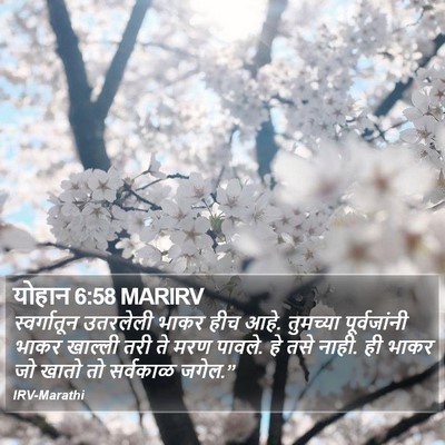 योहान 6:58 MARIRV Bible Verse Image