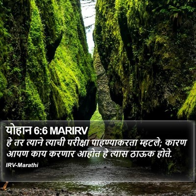 योहान 6:6 MARIRV Bible Verse Image
