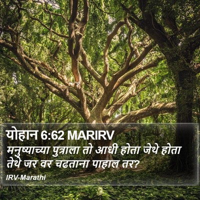योहान 6:62 MARIRV Bible Verse Image