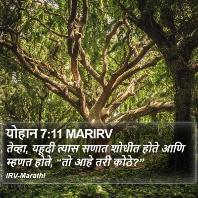 योहान 7:11 MARIRV Bible Verse Image