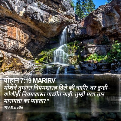 योहान 7:19 MARIRV Bible Verse Image