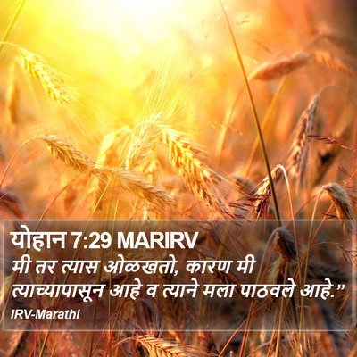 योहान 7:29 MARIRV Bible Verse Image
