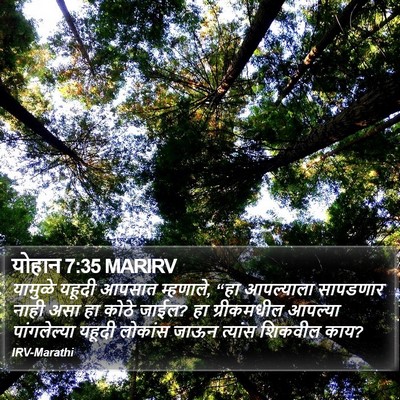 योहान 7:35 MARIRV Bible Verse Image