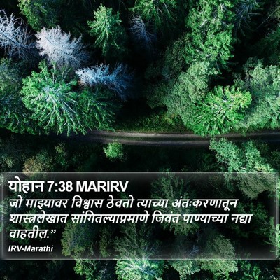 योहान 7:38 MARIRV Bible Verse Image