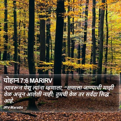 योहान 7:6 MARIRV Bible Verse Image