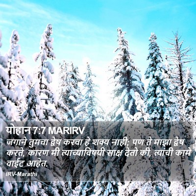 योहान 7:7 MARIRV Bible Verse Image