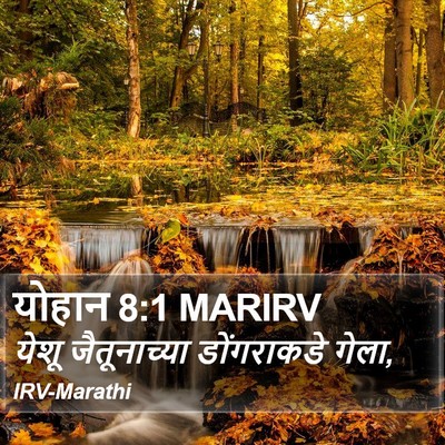 योहान 8:1 MARIRV Bible Verse Image