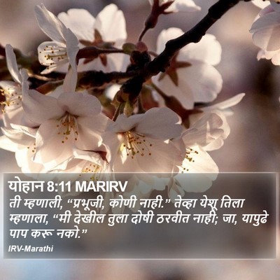 योहान 8:11 MARIRV Bible Verse Image