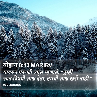 योहान 8:13 MARIRV Bible Verse Image