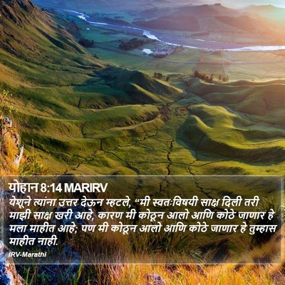 योहान 8:14 MARIRV Bible Verse Image