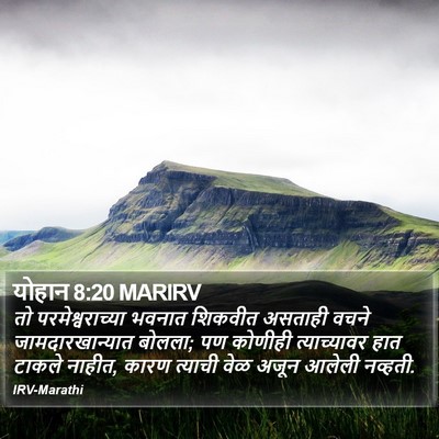 योहान 8:20 MARIRV Bible Verse Image