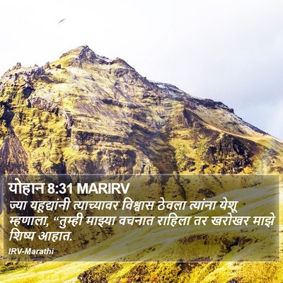 योहान 8:31 MARIRV Bible Verse Image