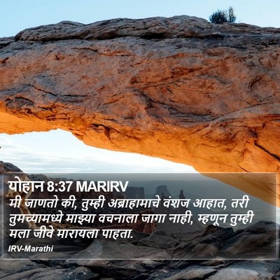 योहान 8:37 MARIRV Bible Verse Image