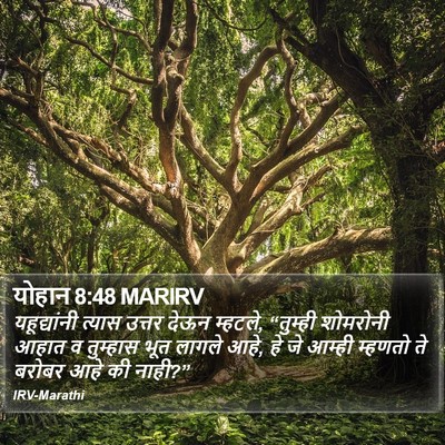 योहान 8:48 MARIRV Bible Verse Image