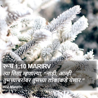रूथ 1:10 MARIRV Bible Verse Image