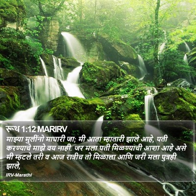 रूथ 1:12 MARIRV Bible Verse Image