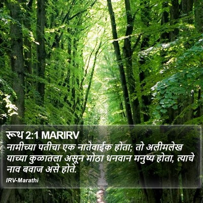रूथ 2:1 MARIRV Bible Verse Image