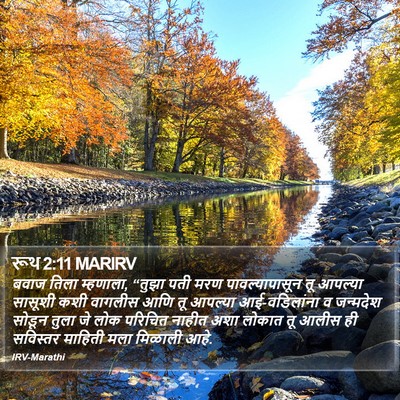रूथ 2:11 MARIRV Bible Verse Image