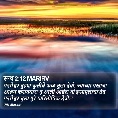 रूथ 2:12 MARIRV Bible Verse Image