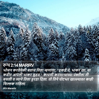 रूथ 2:14 MARIRV Bible Verse Image