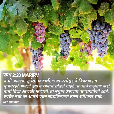 रूथ 2:20 MARIRV Bible Verse Image