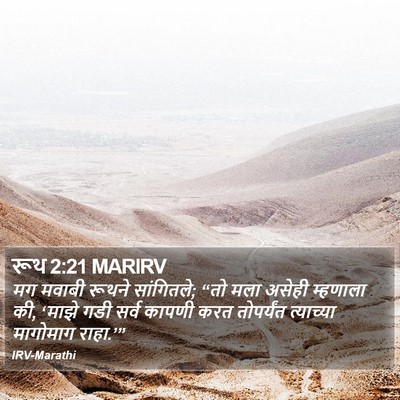रूथ 2:21 MARIRV Bible Verse Image