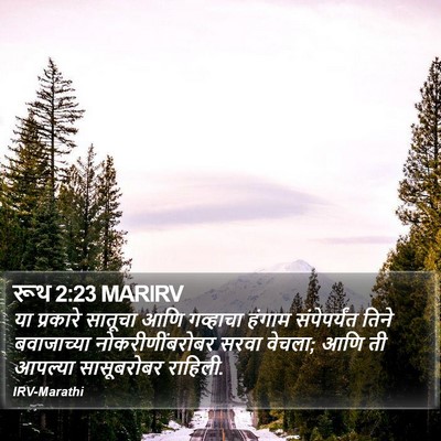 रूथ 2:23 MARIRV Bible Verse Image