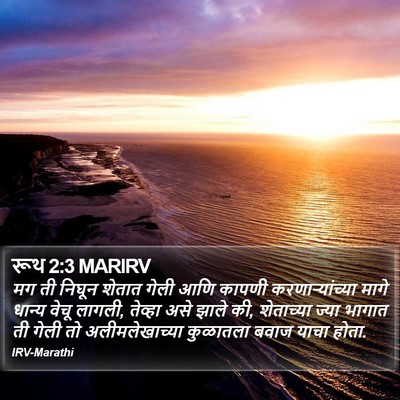 रूथ 2:3 MARIRV Bible Verse Image
