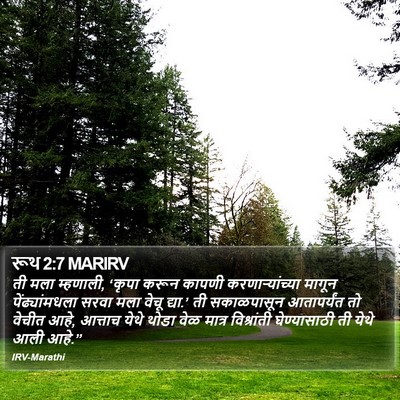रूथ 2:7 MARIRV Bible Verse Image