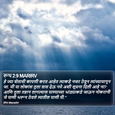रूथ 2:9 MARIRV Bible Verse Image