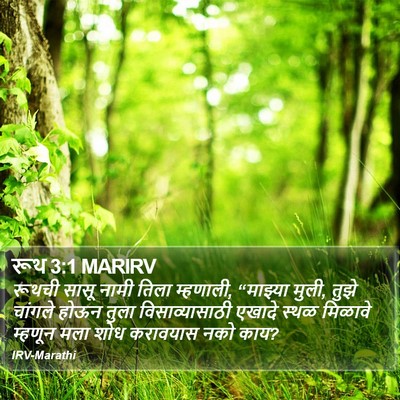 रूथ 3:1 MARIRV Bible Verse Image