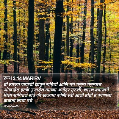 रूथ 3:14 MARIRV Bible Verse Image