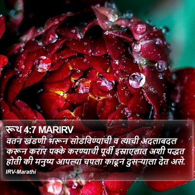 रूथ 4:7 MARIRV Bible Verse Image