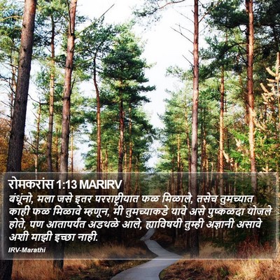 रोमकरांस 1:13 MARIRV Bible Verse Image