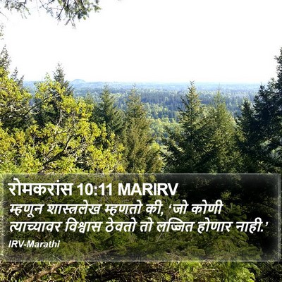 रोमकरांस 10:11 MARIRV Bible Verse Image