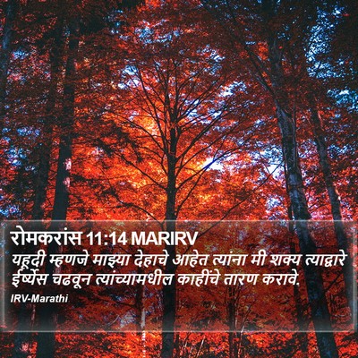 रोमकरांस 11:14 MARIRV Bible Verse Image