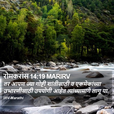 रोमकरांस 14:19 MARIRV Bible Verse Image