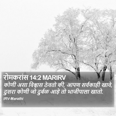 रोमकरांस 14:2 MARIRV Bible Verse Image