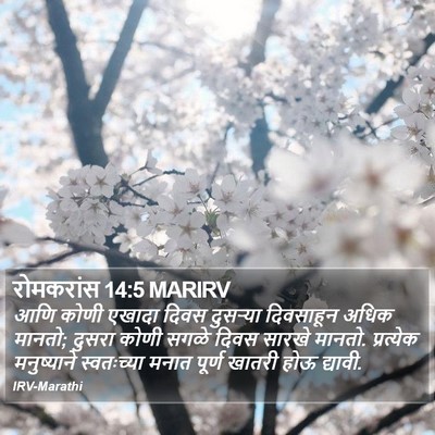 रोमकरांस 14:5 MARIRV Bible Verse Image