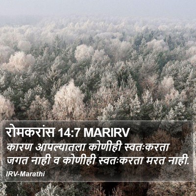 रोमकरांस 14:7 MARIRV Bible Verse Image