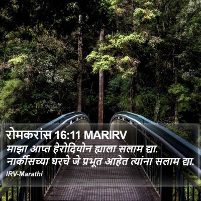 रोमकरांस 16:11 MARIRV Bible Verse Image
