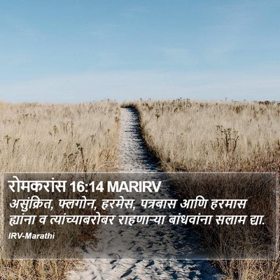 रोमकरांस 16:14 MARIRV Bible Verse Image