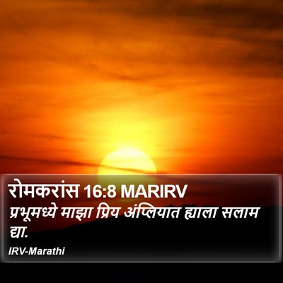 रोमकरांस 16:8 MARIRV Bible Verse Image