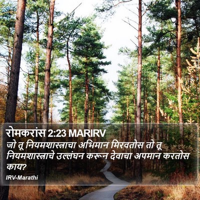 रोमकरांस 2:23 MARIRV Bible Verse Image