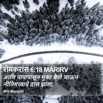 रोमकरांस 6:18 MARIRV Bible Verse Image